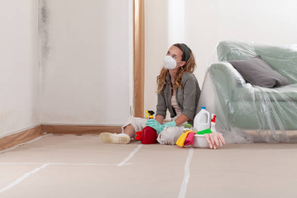 Reliable Mold Cleanup contractor in Vandalia, MI by Cheap Mold Removal
